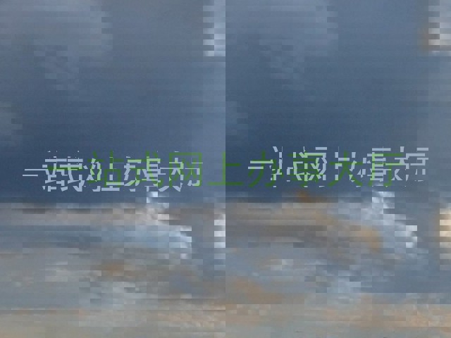 一站式网上办事大厅