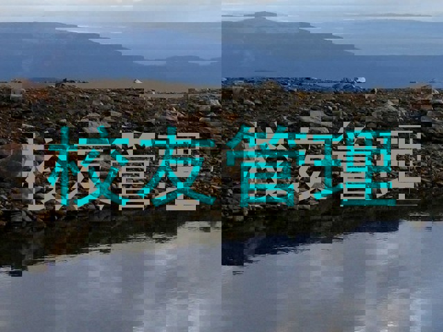 校友管理