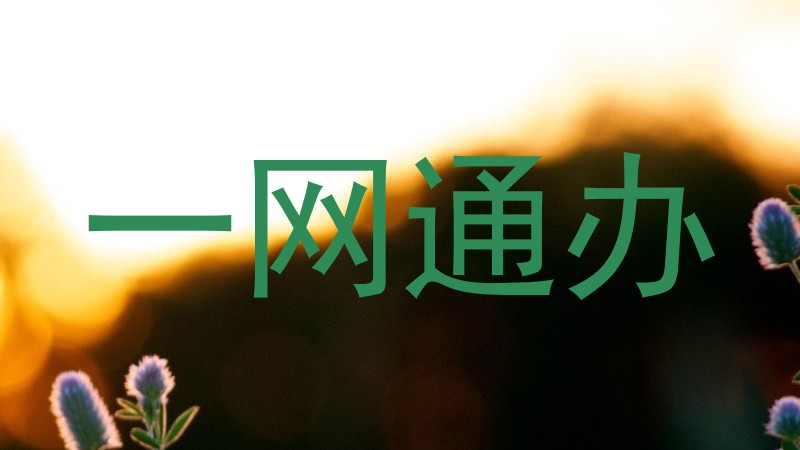 一网通办