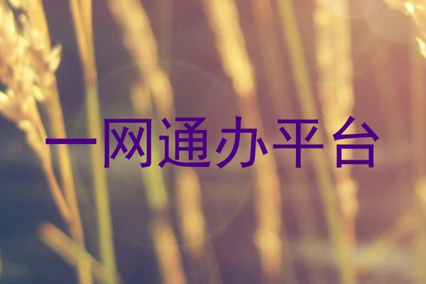 一网通办平台