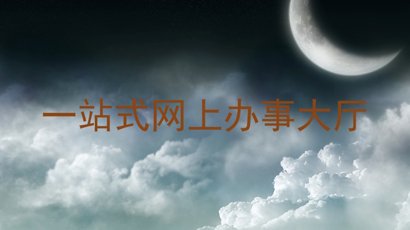 一站式网上办事大厅
