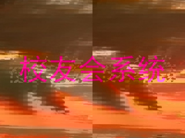 校友会系统