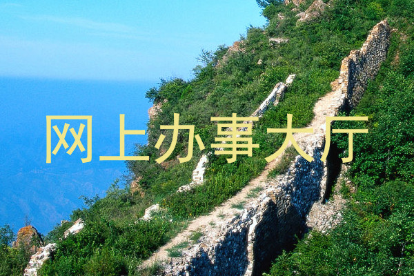 网上办事大厅