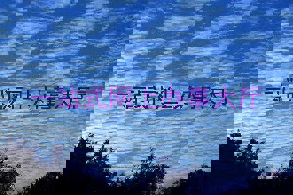 一站式网上办事大厅