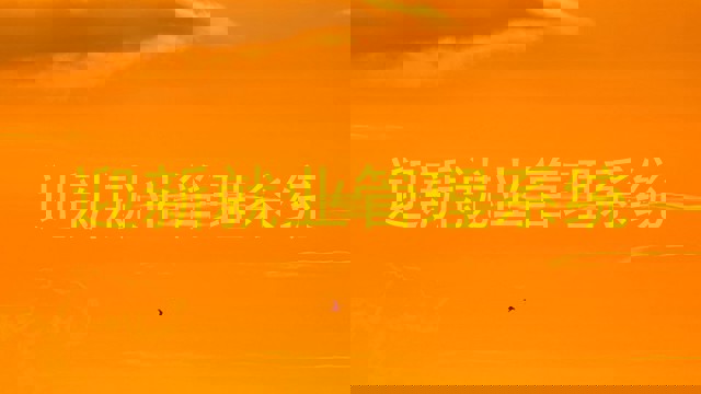 迎新就业管理系统