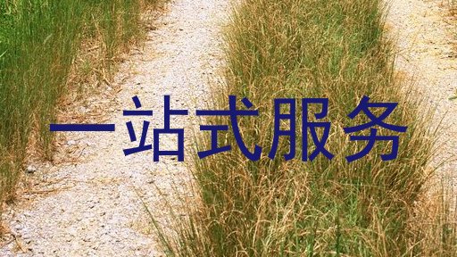 一站式服务