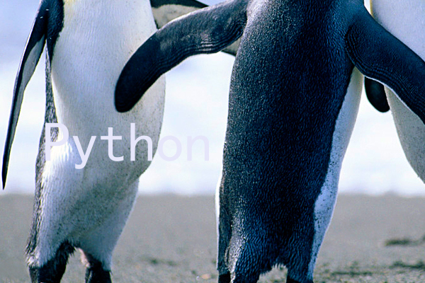 Python