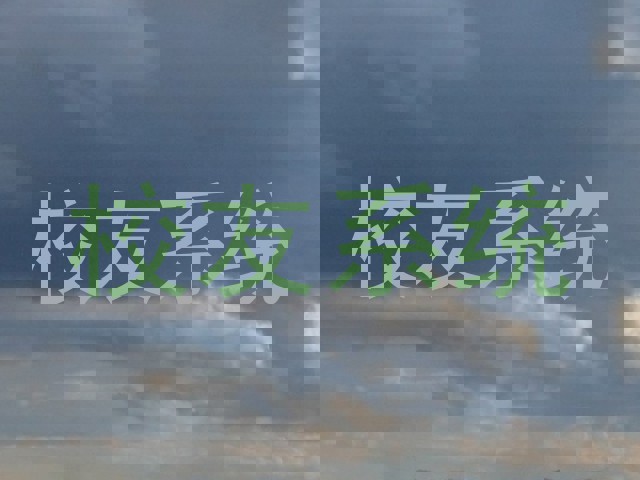 校友系统