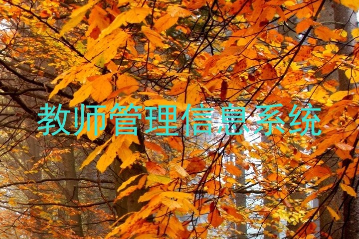 教师管理信息系统