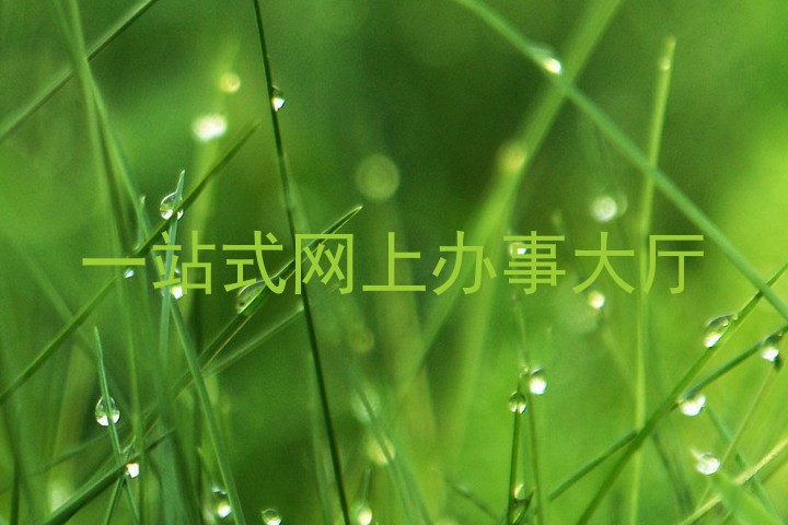 一站式网上办事大厅