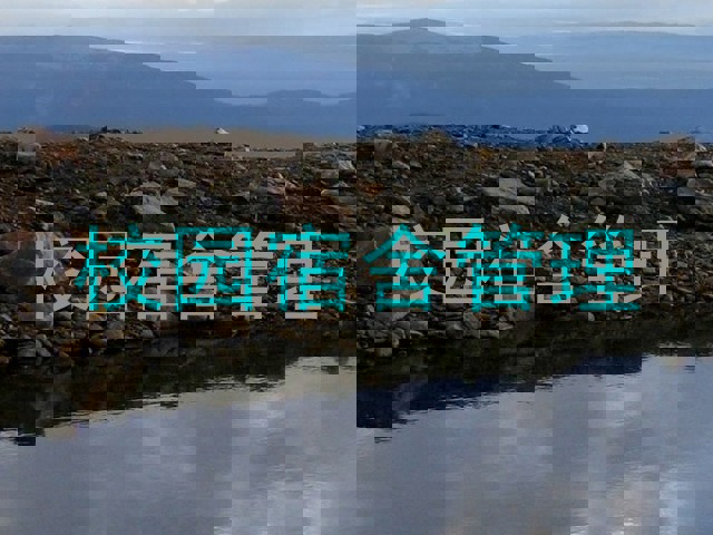 校园宿舍管理
