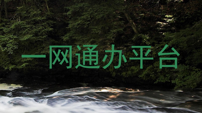 一网通办平台