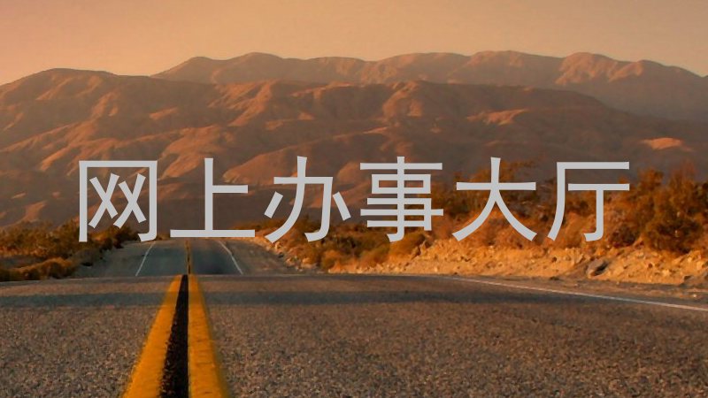 网上办事大厅