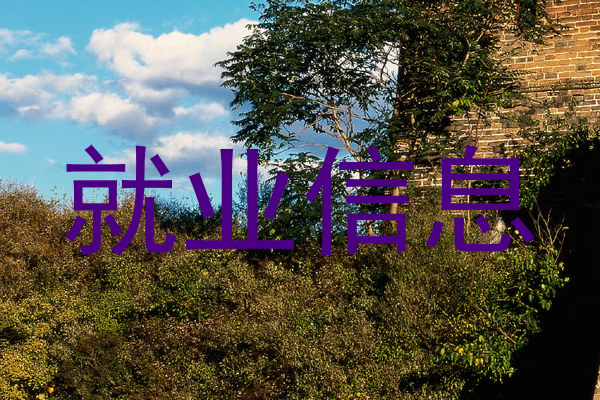 就业信息