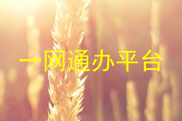一网通办平台