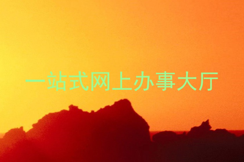 一站式网上办事大厅