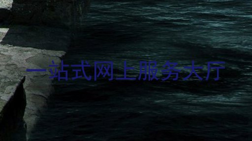 一站式网上服务大厅