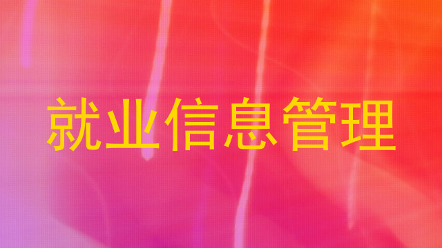 就业信息管理