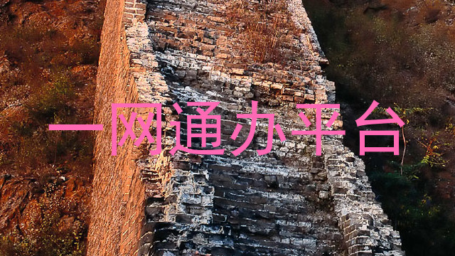 一网通办平台