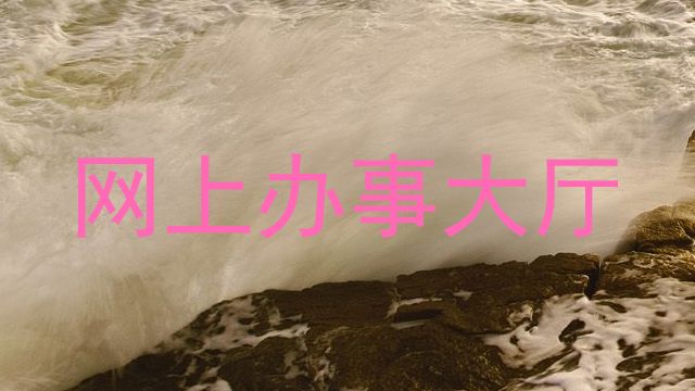 网上办事大厅