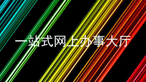 一站式网上办事大厅