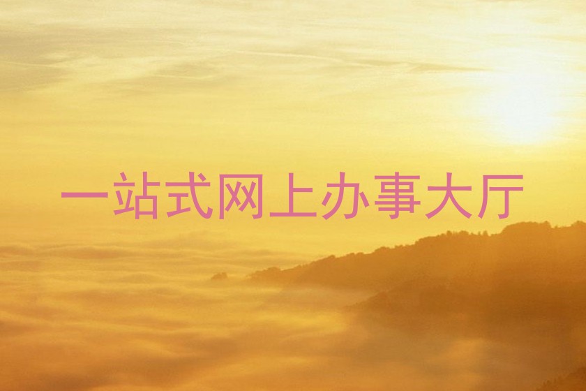 一站式网上办事大厅