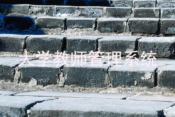 大学教师管理系统