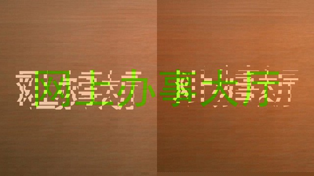 网上办事大厅