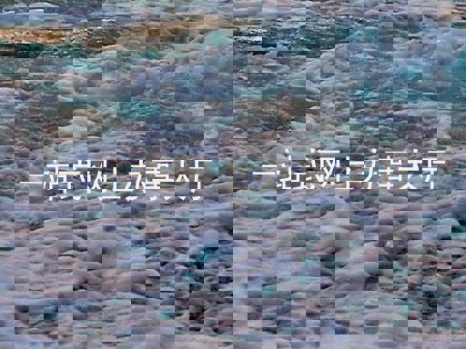 一站式网上办事大厅