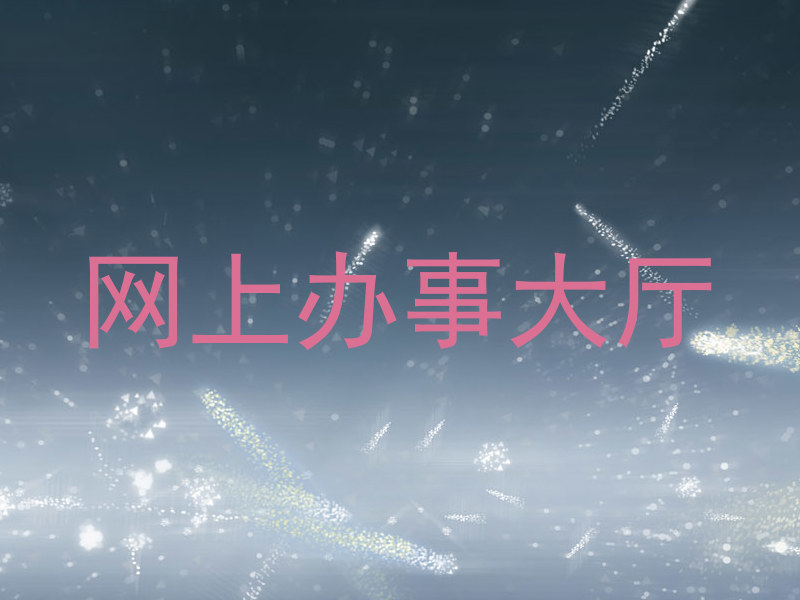 网上办事大厅