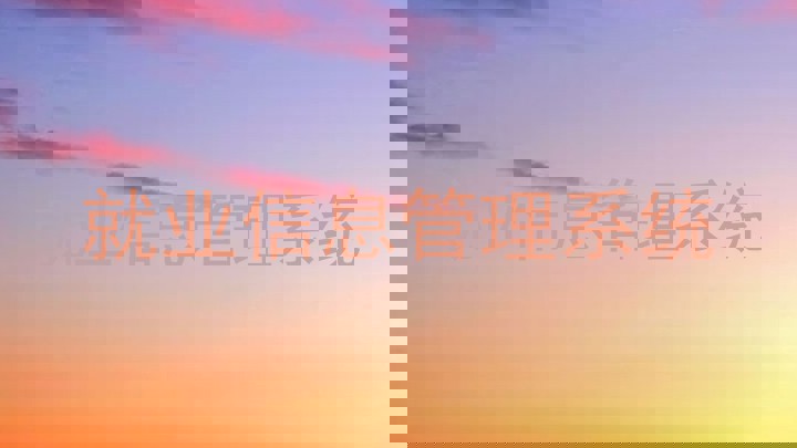 就业信息管理系统
