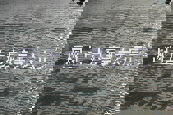 网上办事大厅
