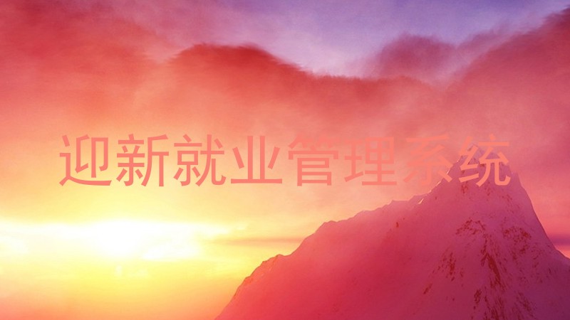 迎新就业管理系统