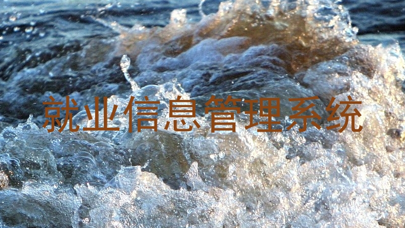 就业信息管理系统