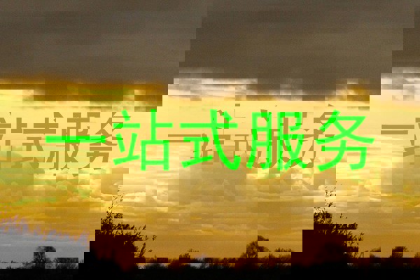 一站式服务