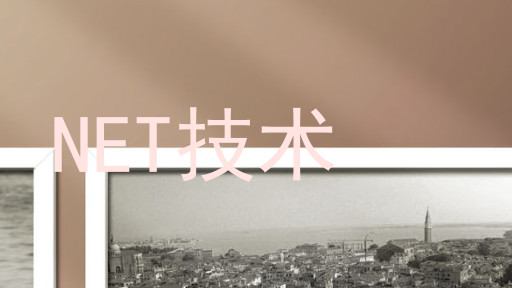 NET技术