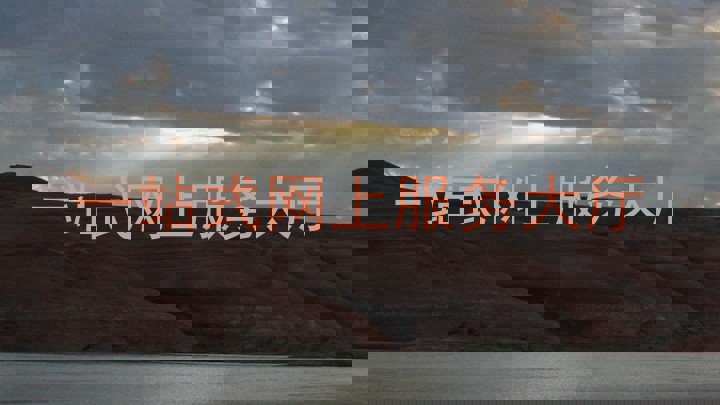 一站式网上服务大厅