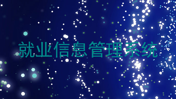 就业信息管理系统