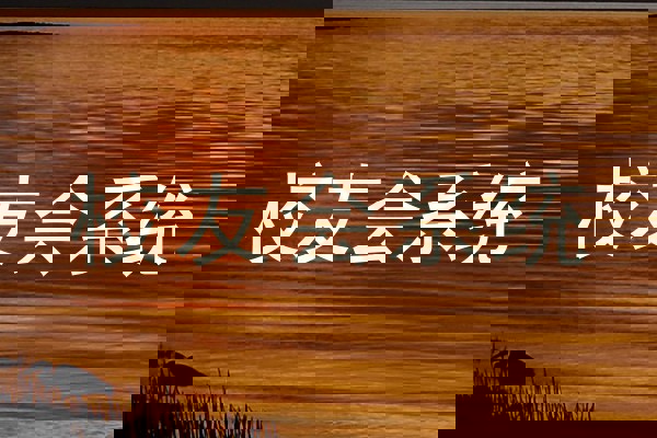 校友会系统