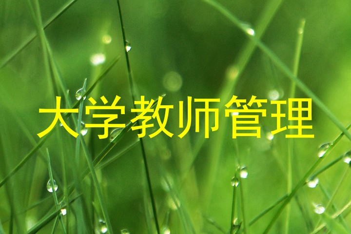 大学教师管理