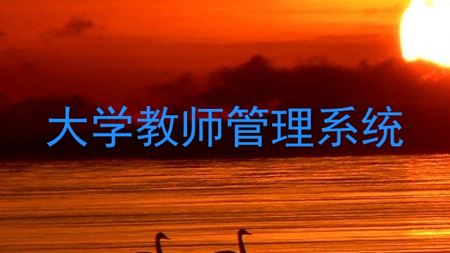 大学教师管理系统