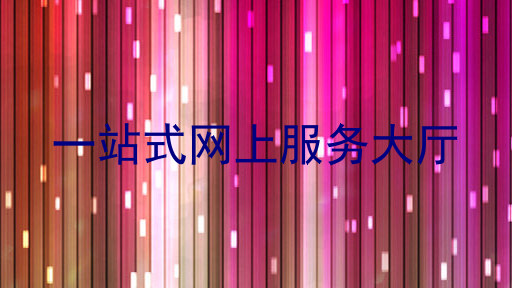 一站式网上服务大厅