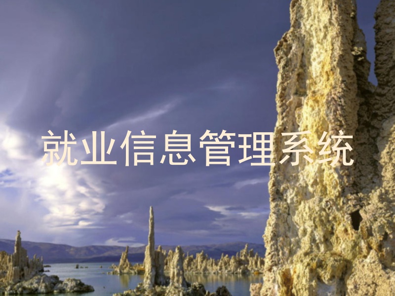 就业信息管理系统