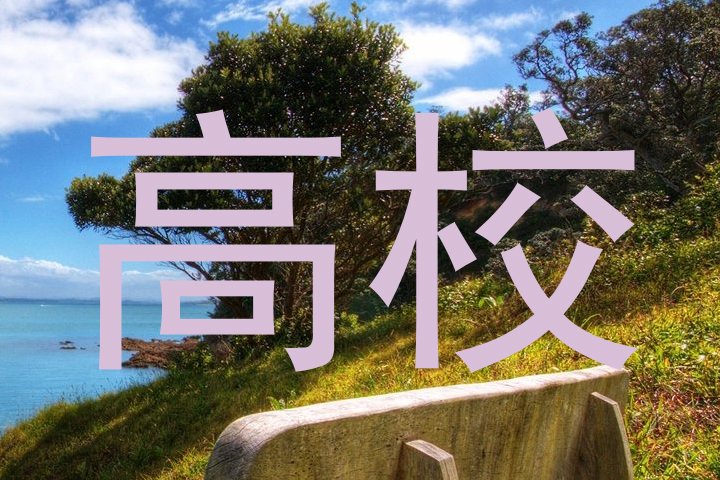 高校