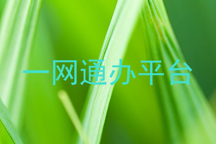 一网通办平台