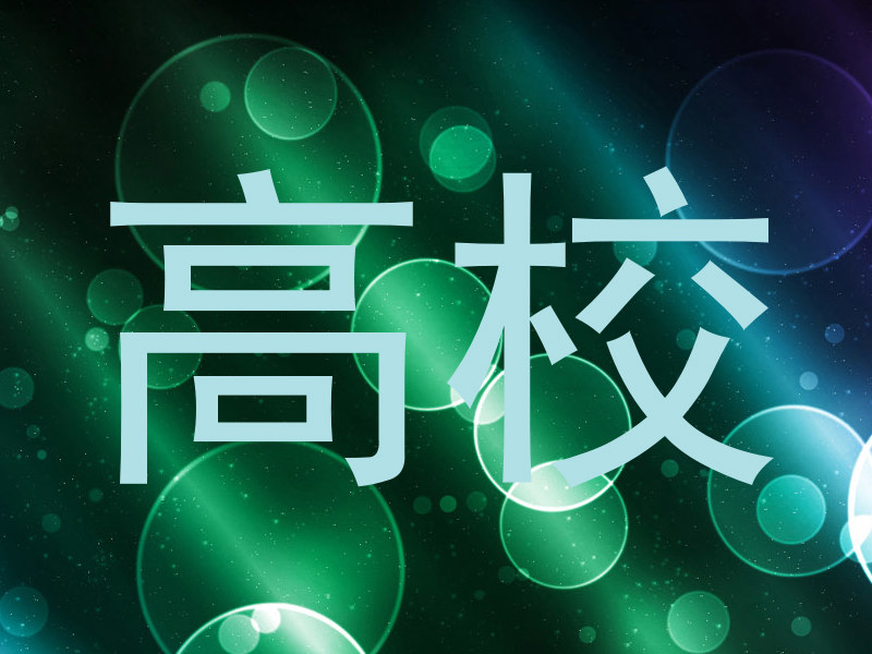 高校