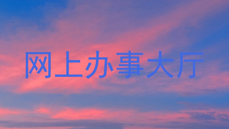 网上办事大厅