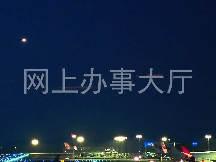 网上办事大厅