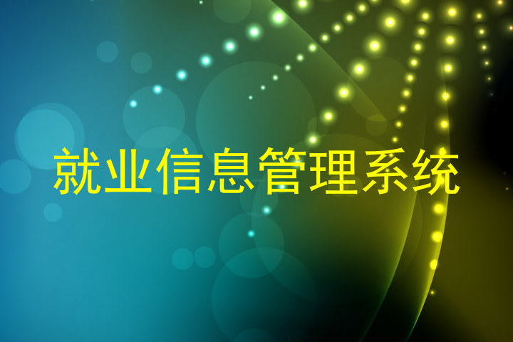 就业信息管理系统
