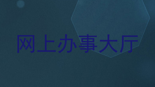网上办事大厅